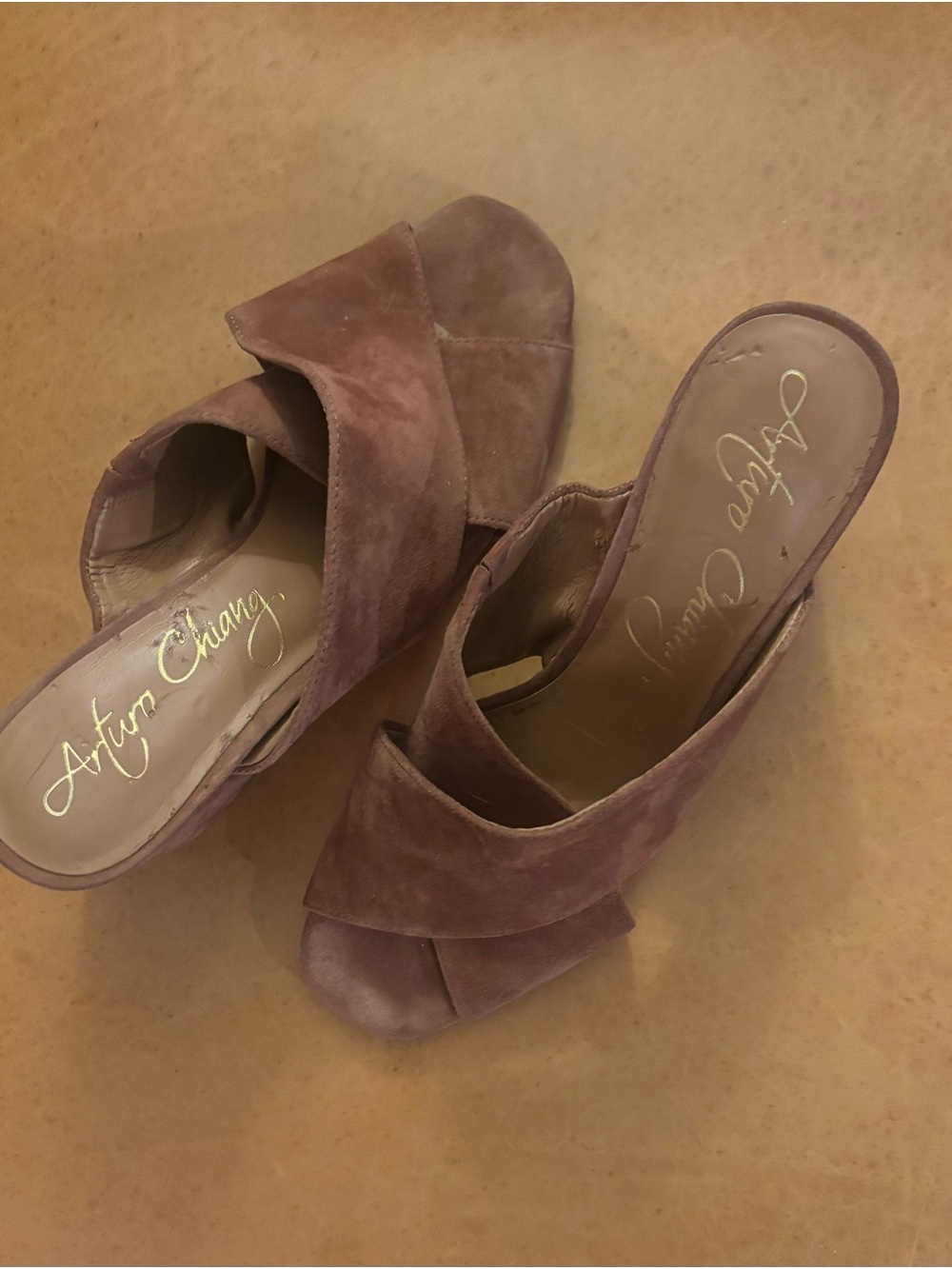 Arturo Chiang Mauve Suede Crossover Slip-On Mules